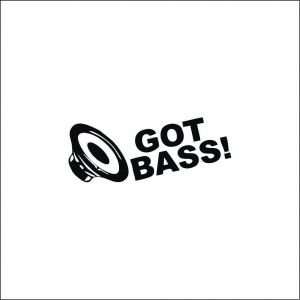 CAR AUDIO - GOT BASS 2