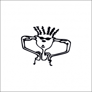 CAR AUDIO - LOUD 2