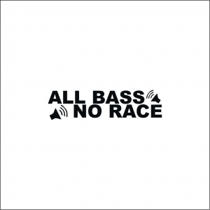 CAR AUDIO - ALL BASS NO RACE