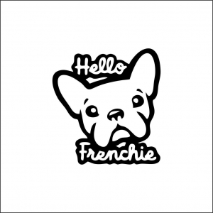 DIVERSE - HELLO FRANKIE