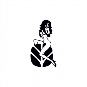 STICKERE UTILAJE AGRICOLE - NEW HOLLAND WOMAN