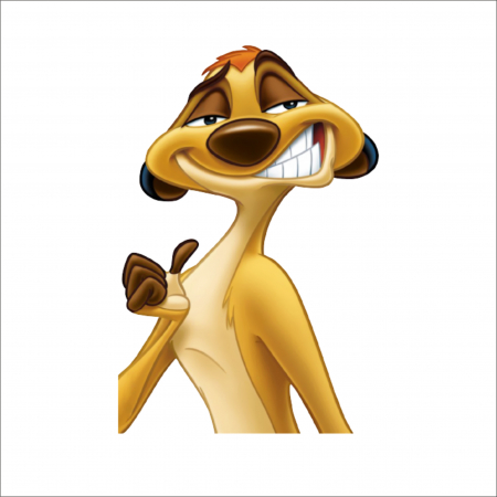 STICKERE PRINTATE - TIMON STICKER PRINT