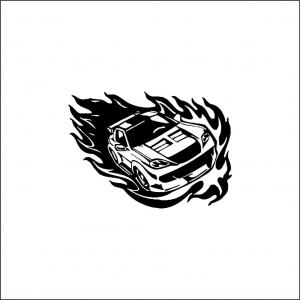 DIVERSE - CAR FIRE