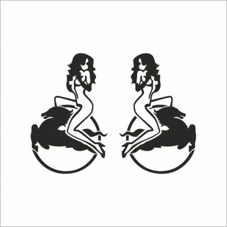 IVECO - SET STICKERE CAMION IVECO WOMEN