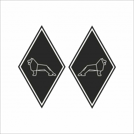 MAN - SET STICKERE CAMION MAN ROMB NR.2