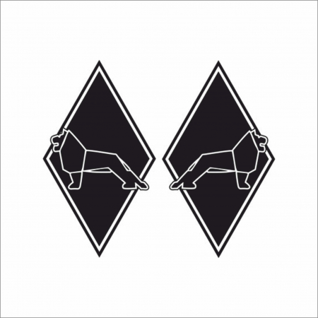 MAN - SET STICKERE CAMION MAN ROMB NR.4