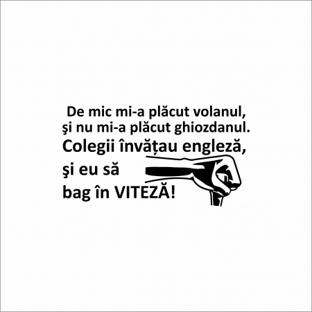 DIVERSE - STICKER BAG IN VITEZA