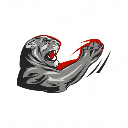 STICKERE PRINTATE - STICKER ANGRY LION 2