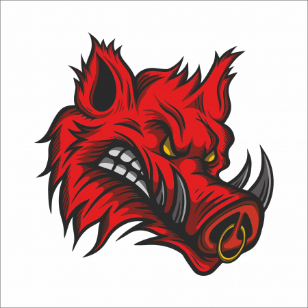 STICKERE PRINTATE - STICKER ANGRY BOAR