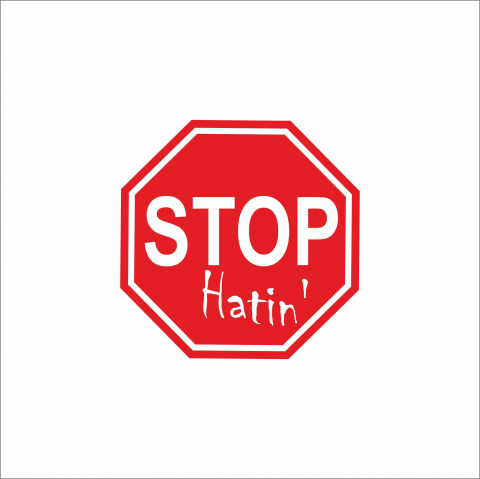 DIVERSE - STICKER STOP HATING