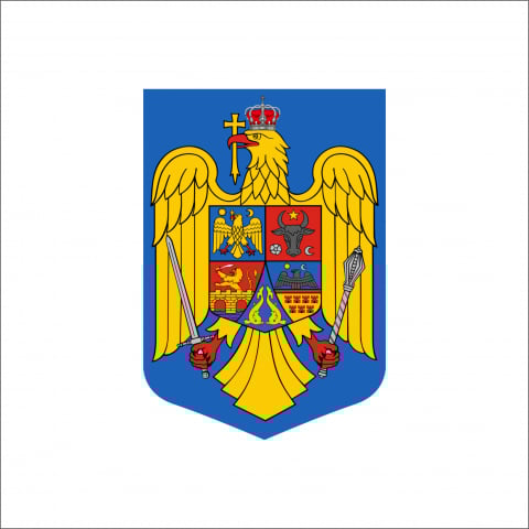 DIVERSE - STICKER STEMA ROMANIEI