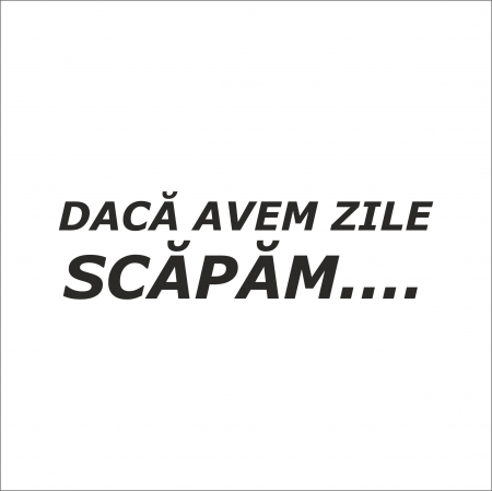 DIVERSE - STICKER DACA AVEM ZILE