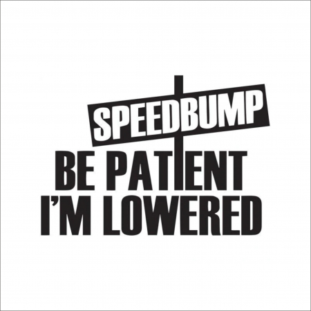 LOW STICKERS - STICKER BE PATIENT I AM LOWERED