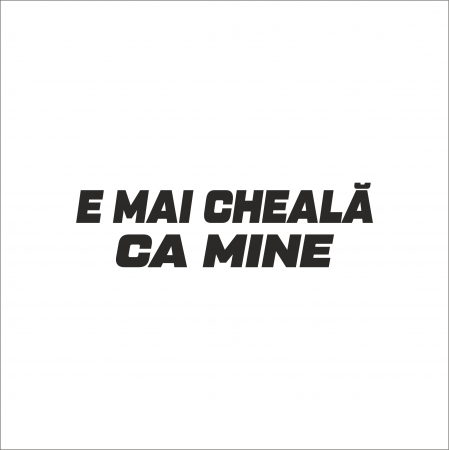 TOP VANZARI - STICKER E MAI CHEALA CA MINE