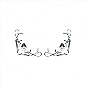 RENAULT CAMIOANE - SET STICKERE GEAMURI LATERALE RENAULT