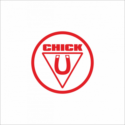 DIVERSE - STICKER CHICK MAGNET