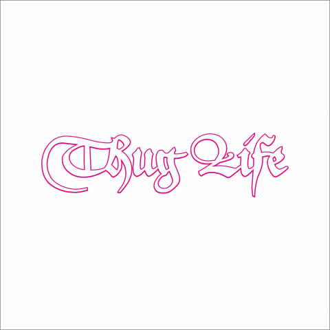 DIVERSE - STICKER THUG LIFE