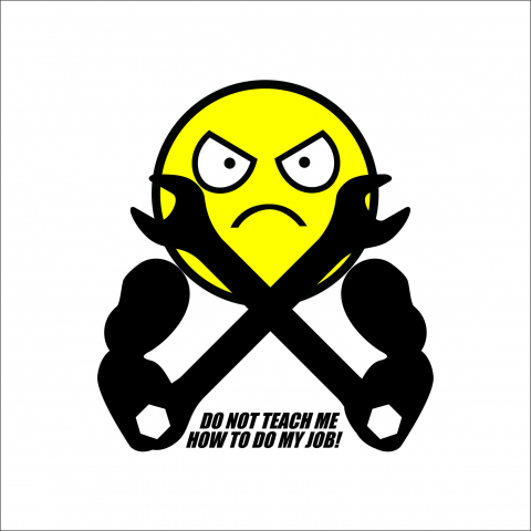 STICKERE JDM - STICKER DO NOT TEACH ME