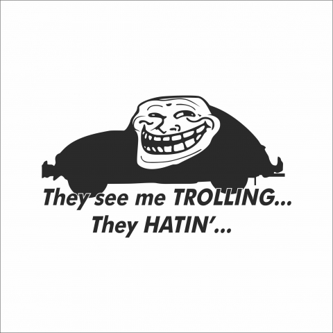 STICKERE JDM - STICKER THEY SEE ME TROLLING