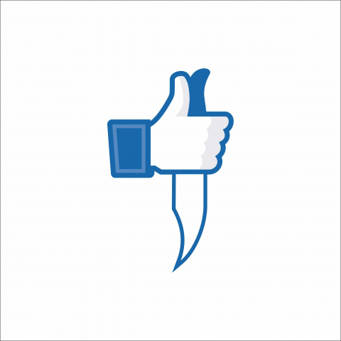 DIVERSE - STICKER FACEBOOK LIKE
