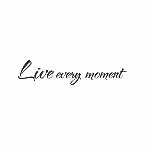 DIVERSE - STICKER LIVE EVERY MOMENT