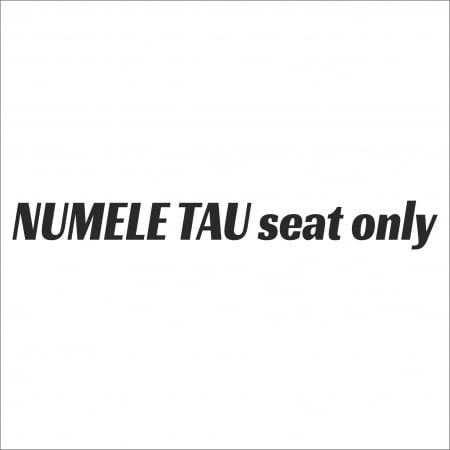 PENTRU FETE - STICKER PERSONALIZAT (EX. ANA'S SEAT)