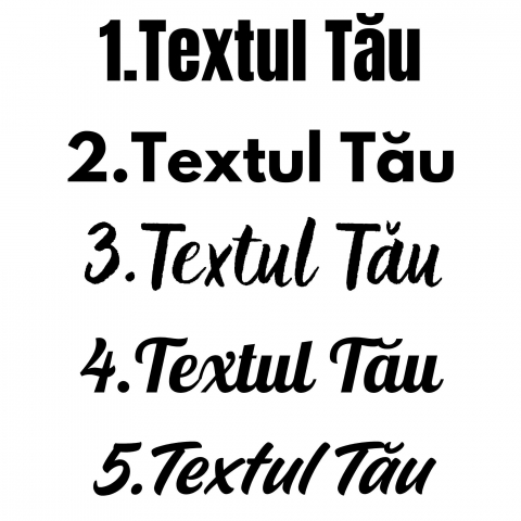 STICKERE AUTO - STICKER PERSONALIZAT - TEXTUL TAU DIFERITE FONTURI