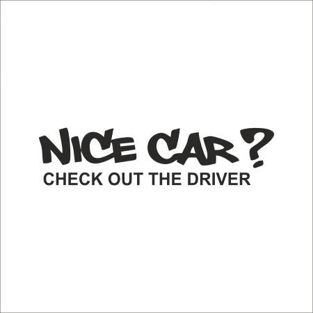 DIVERSE - STICKER NICE CAR?