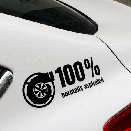 DIVERSE - STICKER 100% NORMALY ASPIRATED