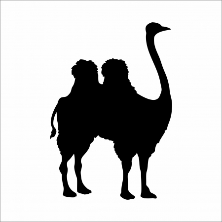 DIVERSE - STICKER STRUTOCAMILA