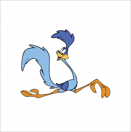 STICKERE PRINTATE - STICKER ROAD RUNNER