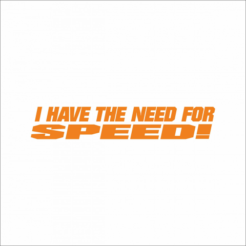 DIVERSE - STICKER I HAVE THE NFS