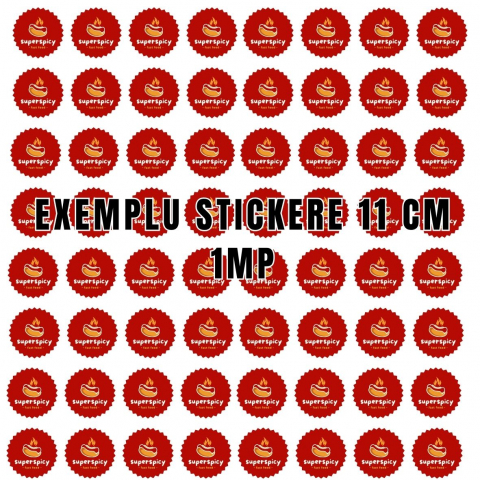 STICKERE PERSONALIZATE LA METRU PATRAT [7]