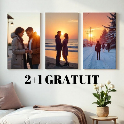 TABLOURI CANVAS - TABLOU CANVAS 2+1 GRATUIT 40X30 CM (DIMENSIUNE MICA)