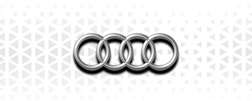 Camere Audi
