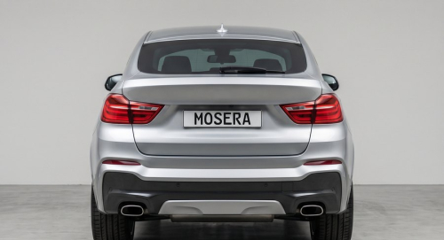 Camere BMW X4 (2013-2018)
