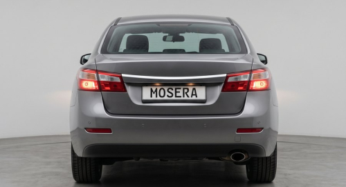 Camere Renault Latitude (2010-2020)