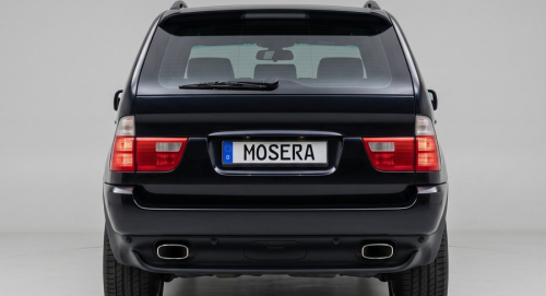 Camere BMW X5 (2000-2018)