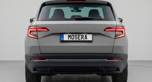 Camere Skoda Karoq (2017-prezent)