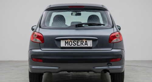 Camere Peugeot 206 (1998-2012)