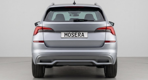 Camere Skoda Kamiq (2019-prezent)