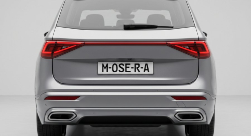 Camere Seat Tarraco (2018-prezent)