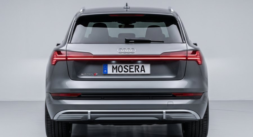 Camere Audi E-tron (2019-prezent)