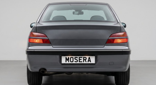 Camere Peugeot 406 (1995-2005)