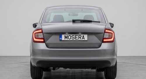 Camere Skoda Rapid (2012-prezent)
