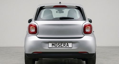 Camere Smart Forfour (2004-prezent)