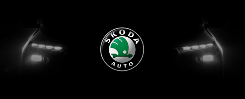 Rame adaptoare Skoda