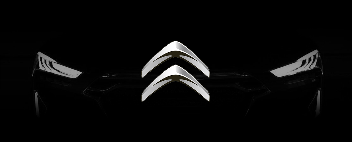 Conectică Citroen