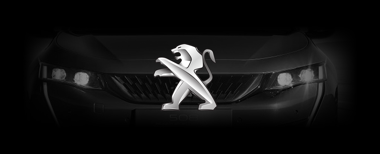 Conectică Peugeot