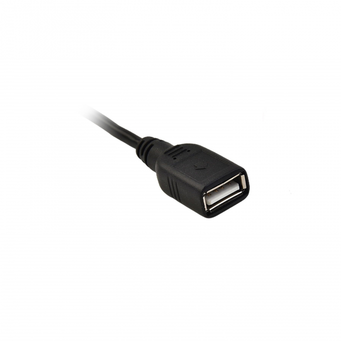 Cablaj USB 4 Pin pentru navigatii Android - AD-BGCUSB4 [3]